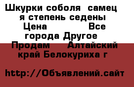 Шкурки соболя (самец) 1-я степень седены › Цена ­ 12 000 - Все города Другое » Продам   . Алтайский край,Белокуриха г.
